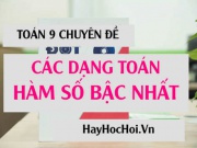 Các dạng bài tập hàm số bậc nhất và Bài tập vận dụng...